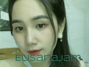 Elisanajam