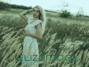 Elizamool