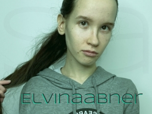Elvinaabner