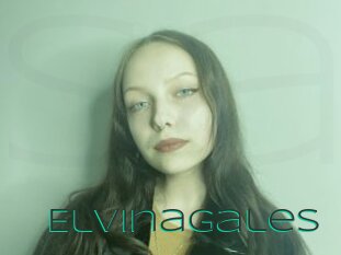 Elvinagales