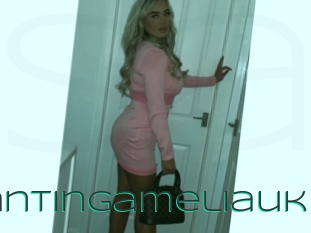 Enchantingameliauk