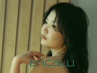 Ericalu