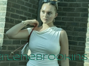 Erlenebrookins