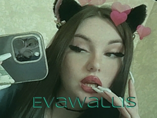 Evawallis