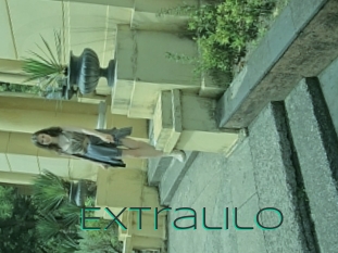 extralilo Sex Agent