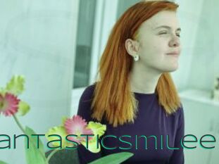 FantasticSmilee