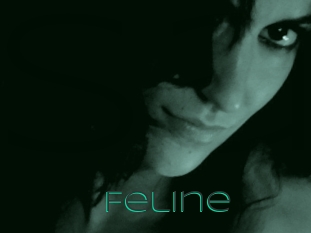 Feline