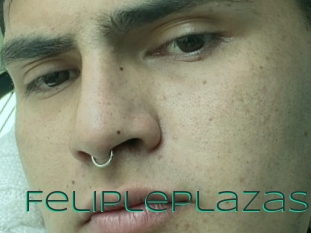Felipleplazas