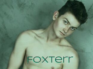 Foxterr