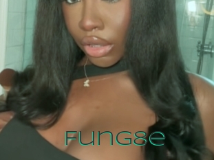 Fung8e
