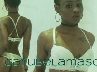 Gatubela_masc