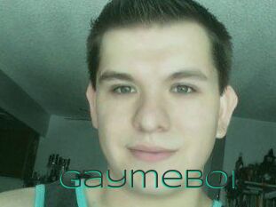 Gaymeboi