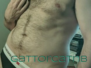 Gattorcatnb