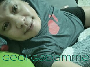 Georgedammer