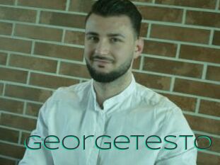 Georgetesto