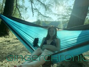 Gingerchronic