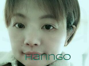 Haringo