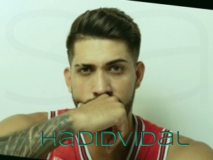 Hadidvidal
