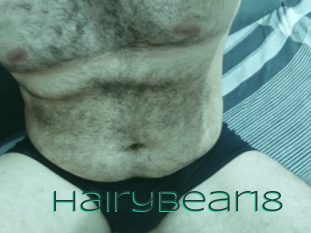 Hairybear18