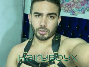 Hairyboyx