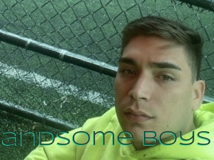 Handsome_boys