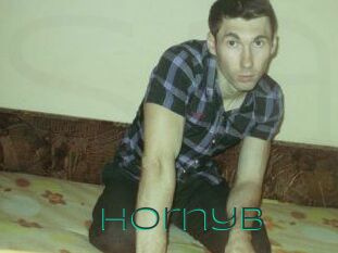 Hornyb