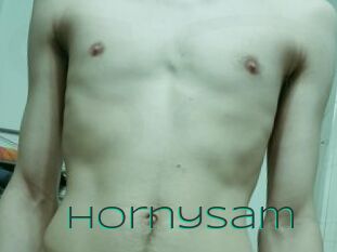 Hornysam