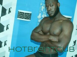 Hotbrentcub