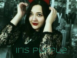 Iris_Purple