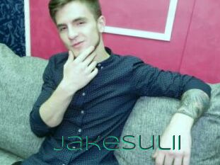JakeSulii
