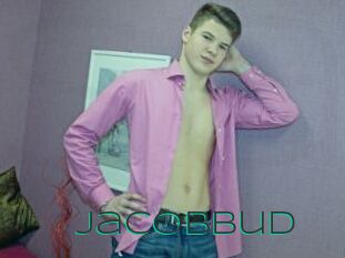 Jacobbud