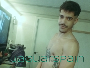 Jaguarspain
