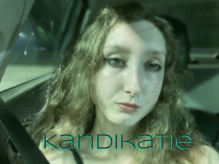 Kandikatie