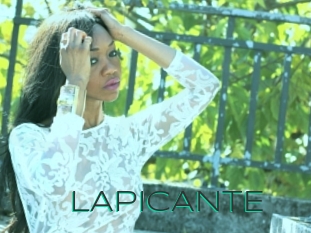 LAPICANTE