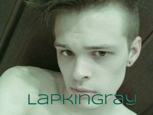 LapkinGray