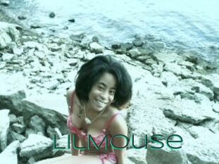 LilMouse