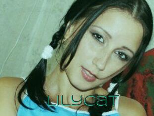 Lily_Cat_