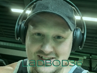 ladbod36 Sex Agent