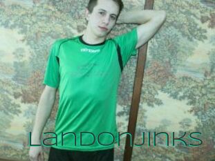 Landonjinks
