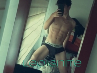 Leoignite