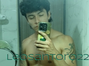 Leosantoro22