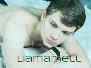 Liamamell