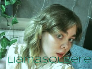 Liamasolbere
