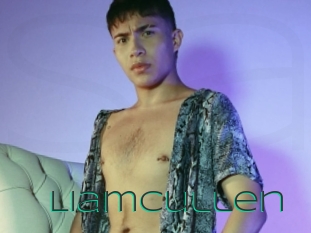 Liamcullen