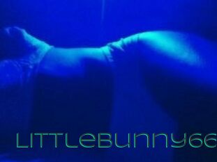 Littlebunny66