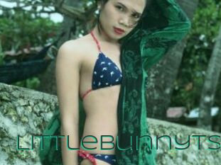 Littlebunnyts