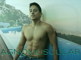 MAGNOMUSCULAR