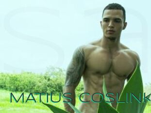 MATIUS_COSLINK