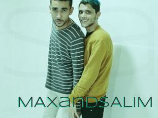 MAXandSALIM