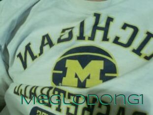 Meglodong1
